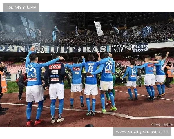 雷丁俱乐部发布最新动态球队重组计划引发球迷广泛关注