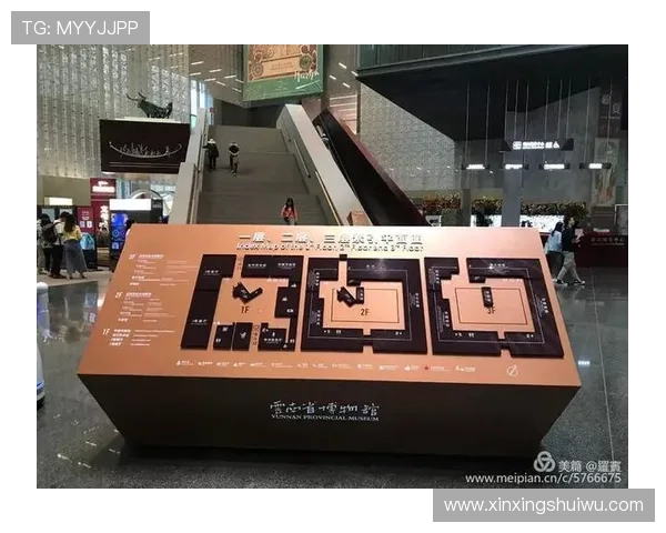 马赛俱乐部的辉煌历史与未来发展潜力深度分析